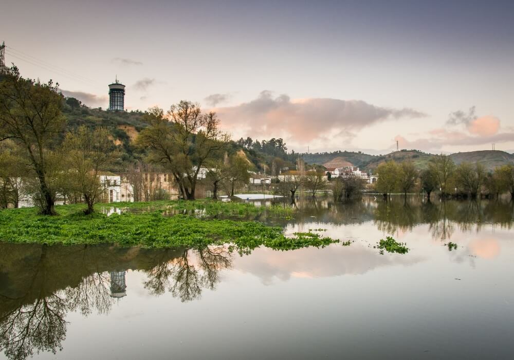 matte artists lake 