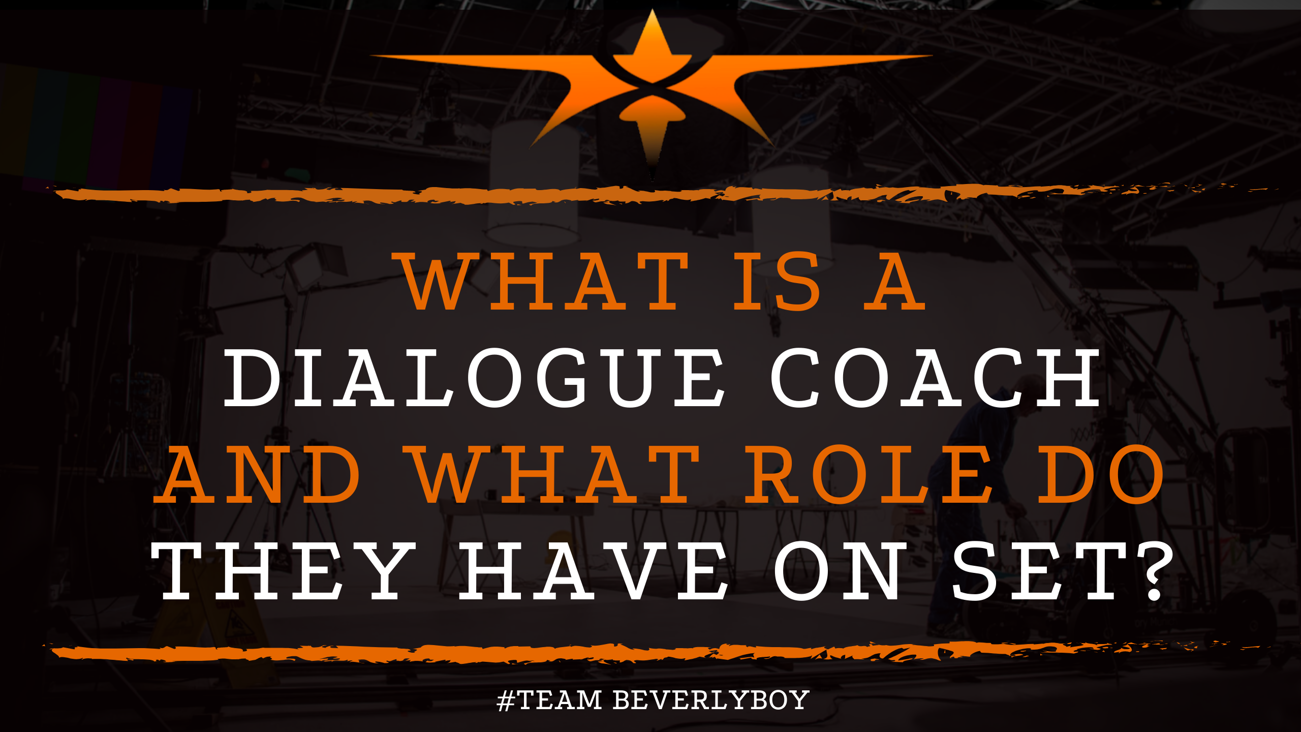 What Does a Dialogue Coach Do? Insights and Expertise