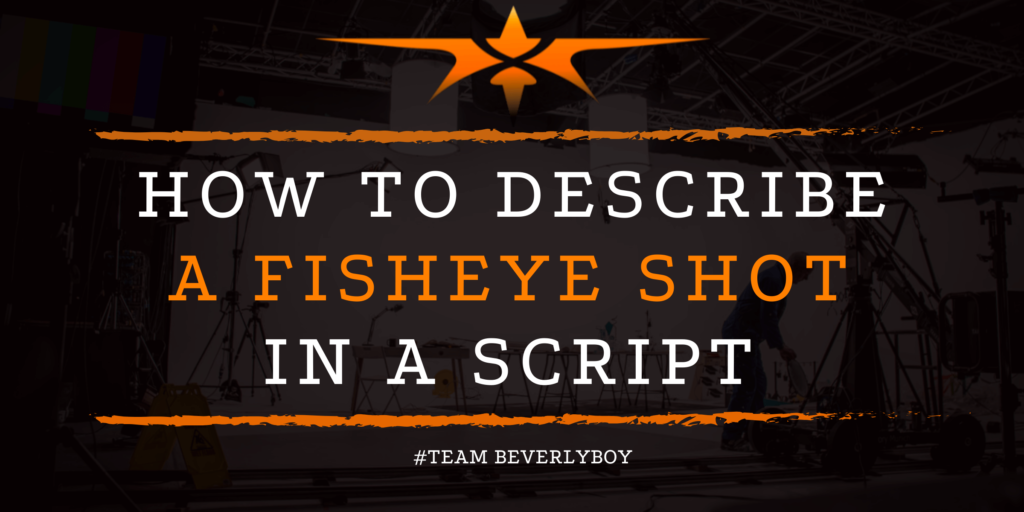 How to Describe a Fisheye Shot in a Script