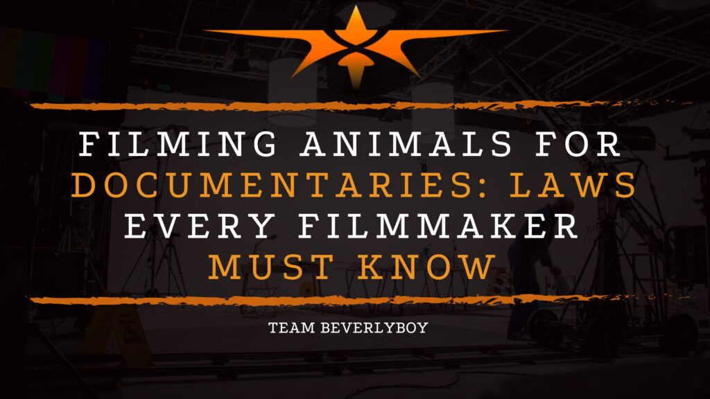 Filming Animals for Documentaries: Laws Every Filmmaker Must Know