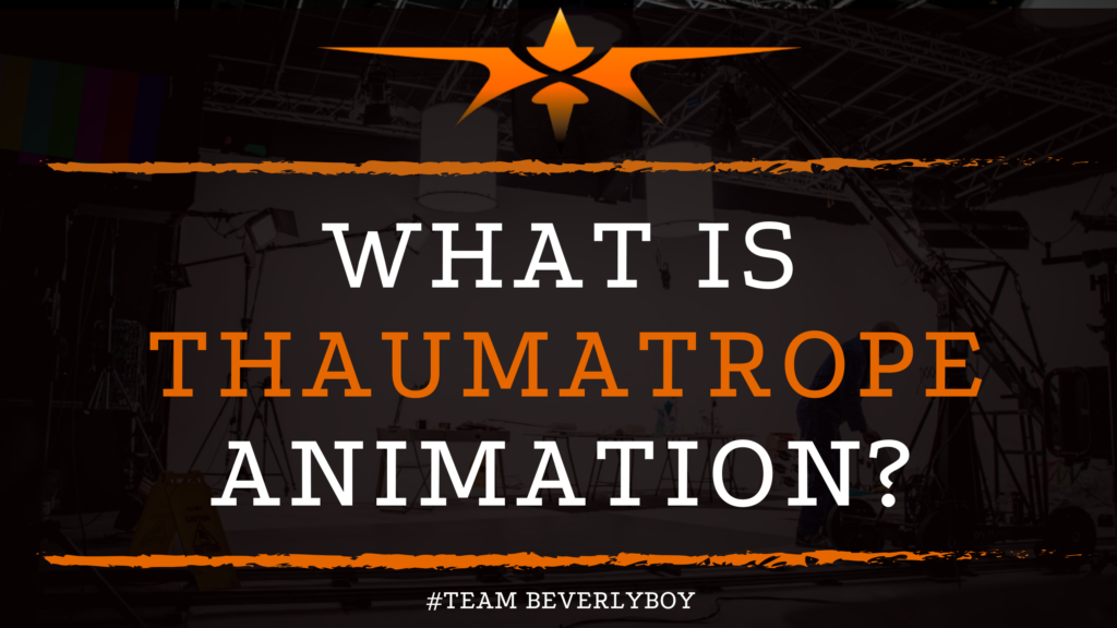 What is Thaumatrope Animation_