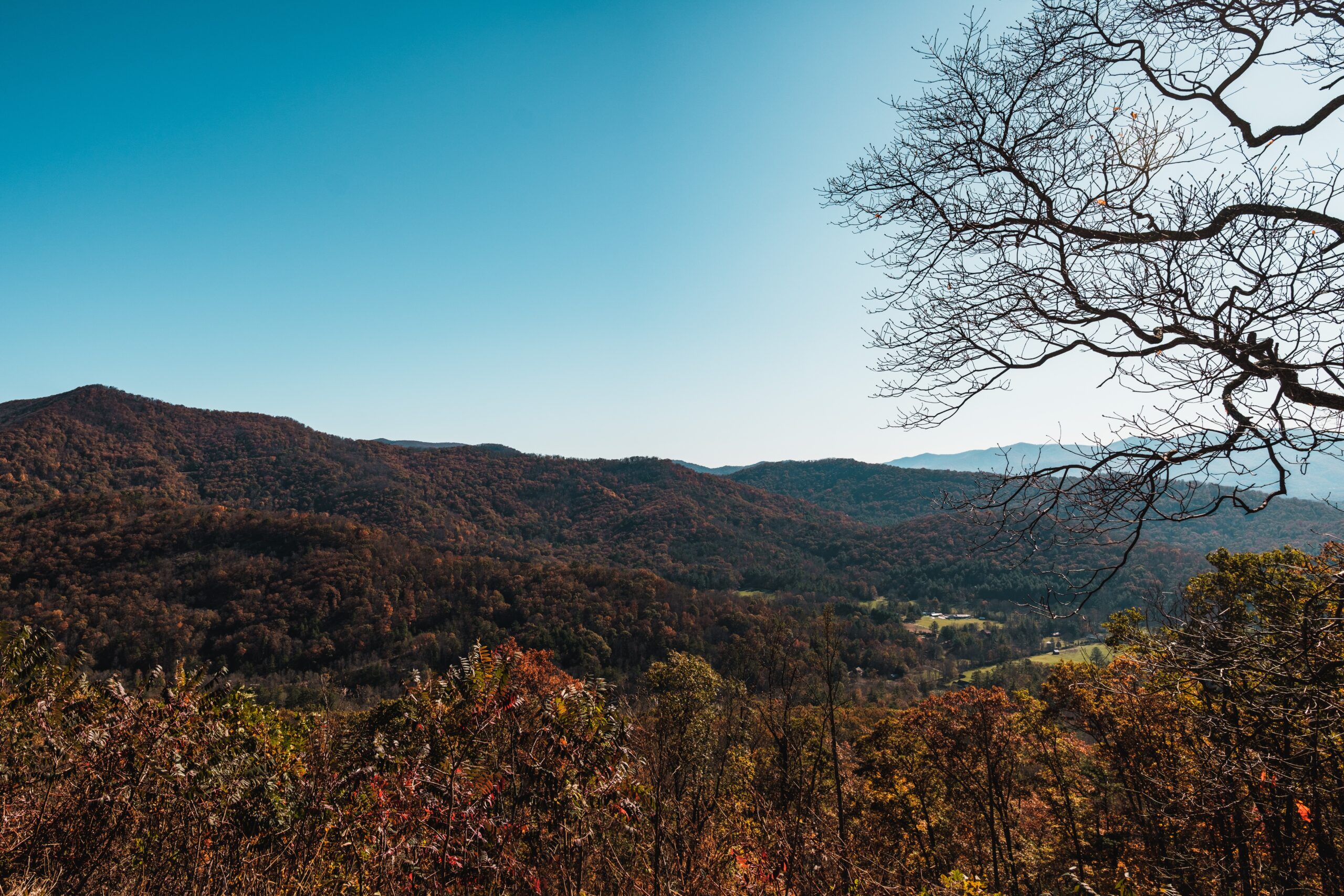 Asheville Funeral Live Streaming Services