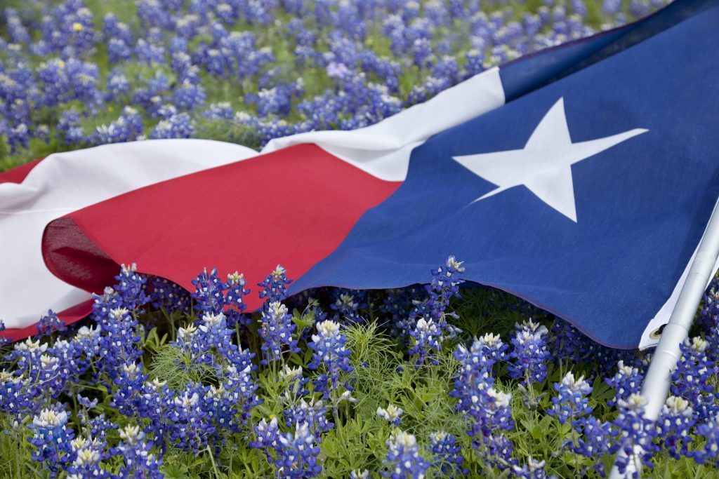 photodune-20508225-texas-flag-in-field-of-bluebonnets-xxl-1024x683