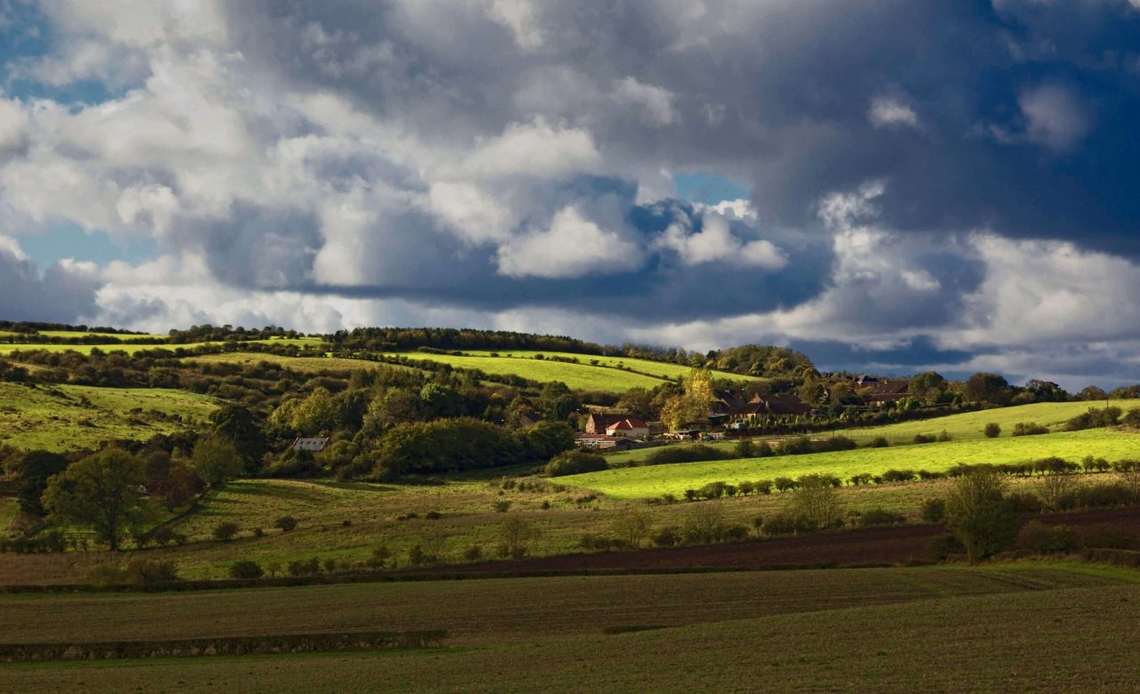 pexels-durnham pexels-durnham